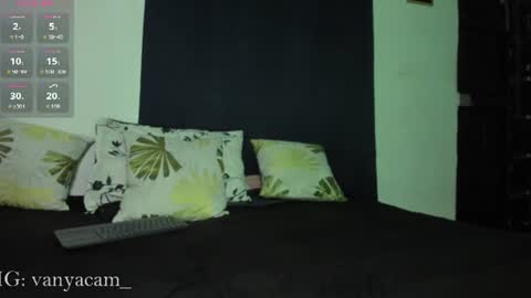 Snapshot of midnight_vk chatting on 10, 6, 2026 VanyaKlaus online show from 10, 6, 2026
