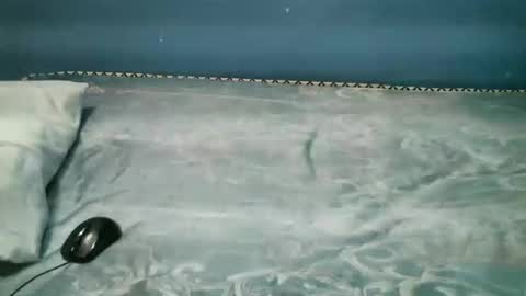 Snapshot of midnightkady chatting on 1, 11, 2025 Caddy online show from 1, 11, 2025