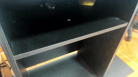 Snapshot of miia_taylor_1_ chatting on 24, 2, 2025 Mia online show from 24, 2, 2025