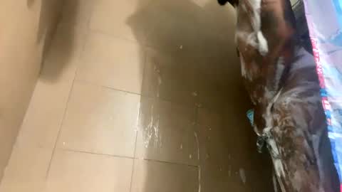 mikeyblunt online show from 25, 2, 2025