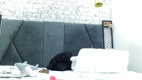 Snapshot of mila_adamss chatting on 16, 1, 2025 mila_adamss online show from 16, 1, 2025