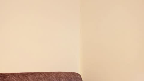 Snapshot of mila_monty__ chatting on 28, 12, 2024 online show from 28, 12, 2024