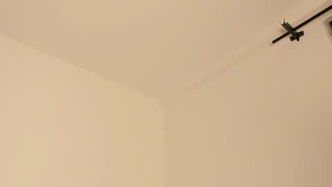 Snapshot of mila_monty__ chatting on 14, 2, 2025 online show from 14, 2, 2025