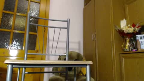 Snapshot of milk_and_hon3y chatting on 4, 12, 2024 Im to see you here Pvts are open I love patterns soo much online show from 4, 12, 2024