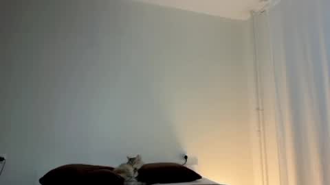 Snapshot of milky__way_ chatting on 10, 1, 2026 milky__way_ online show from 10, 1, 2026