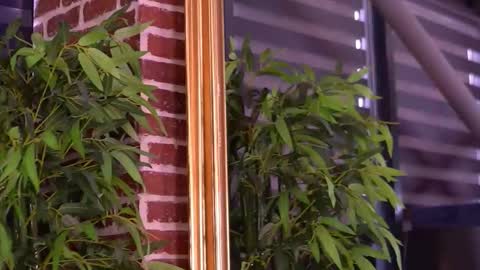 Snapshot of milla_serene chatting on 10, 1, 2026 Milla online show from 10, 1, 2026