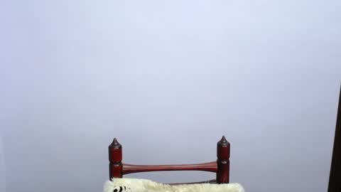 Snapshot of minato_kabuki chatting on 19, 12, 2024 MINATO online show from 19, 12, 2024