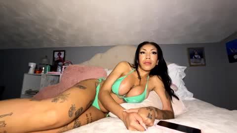 Snapshot of mingleeroseatx chatting on 6, 10, 2025 mingleeroseatx online show from 6, 10, 2025