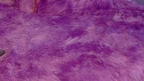 Snapshot of miss__jones_ chatting on 6, 4, 2026 miss__jones_ online show from 6, 4, 2026