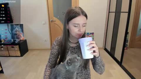 Kitty online show from 3, 6, 2026