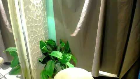 Snapshot of miss_moheera_xxx chatting on 3, 5, 2026 Moheera online show from 3, 5, 2026