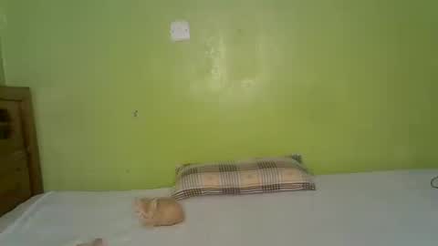 Snapshot of miss_staceyy chatting on 16, 6, 2026 Stacey online show from 16, 6, 2026