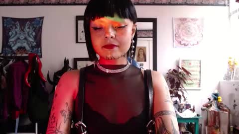 Anarkitten  online show from 10, 2, 2026