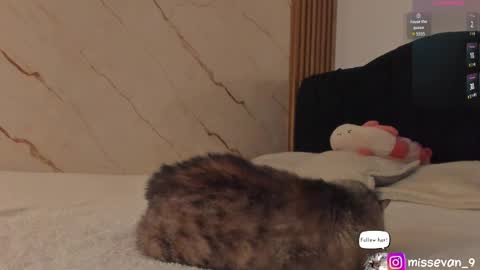 Snapshot of missevan chatting on 22, 4, 2026 Sami Evan online show from 22, 4, 2026