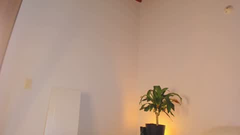 Snapshot of misspaulag chatting on 31, 1, 2025 misspaulag online show from 31, 1, 2025
