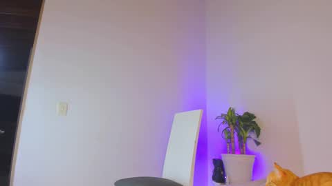 Snapshot of misspaulag chatting on 14, 2, 2025 misspaulag online show from 14, 2, 2025