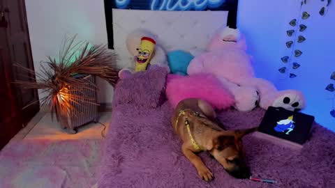 Snapshot of misstexass_ chatting on 4, 12, 2024  Natalie Texass indepedent model online show from 4, 12, 2024