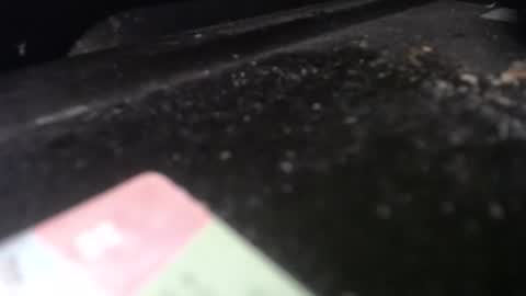 Snapshot of missy_fit chatting on 20, 4, 2026 Calipso online show from 20, 4, 2026