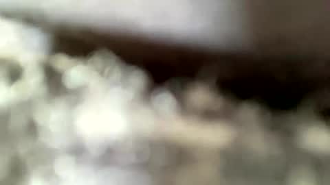 Snapshot of mistajay90 chatting on 8, 9, 2025 mistajay90 online show from 8, 9, 2025