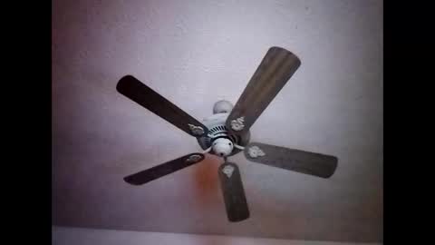 Snapshot of mitchnails69 chatting on 15, 12, 2024 BobbyMitchGa online show from 15, 12, 2024