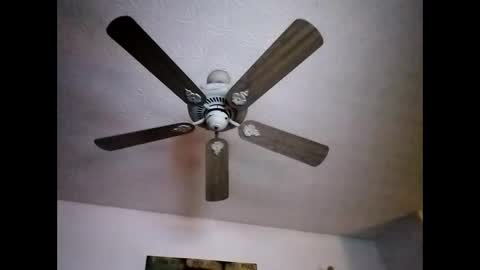 Snapshot of mitchnails69 chatting on 22, 12, 2024 BobbyMitchGa online show from 22, 12, 2024