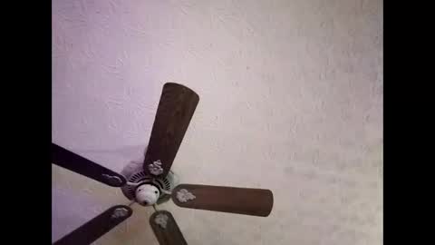 Snapshot of mitchnails69 chatting on 4, 1, 2025 BobbyMitchGa online show from 4, 1, 2025