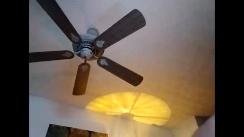 Snapshot of mitchnails69 chatting on 7, 1, 2025 BobbyMitchGa online show from 7, 1, 2025