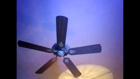 Snapshot of mitchnails69 chatting on 20, 1, 2025 BobbyMitchGa online show from 20, 1, 2025