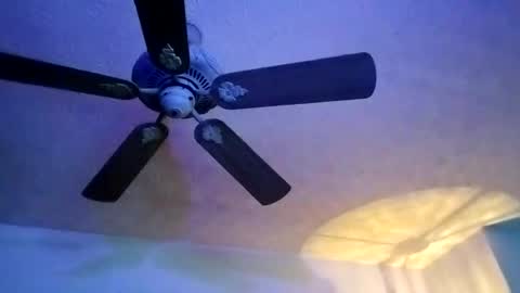 Snapshot of mitchnails69 chatting on 10, 2, 2025 BobbyMitchGa online show from 10, 2, 2025