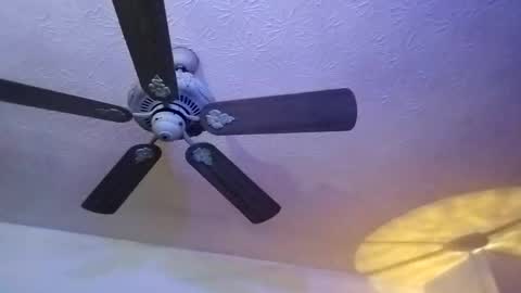 Snapshot of mitchnails69 chatting on 12, 2, 2025 BobbyMitchGa online show from 12, 2, 2025