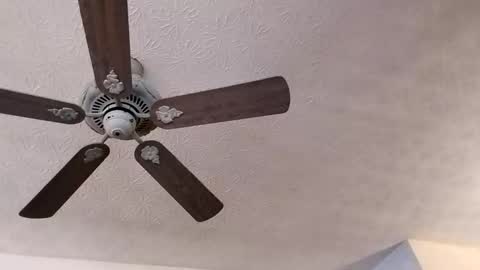 Snapshot of mitchnails69 chatting on 23, 2, 2025 BobbyMitchGa online show from 23, 2, 2025