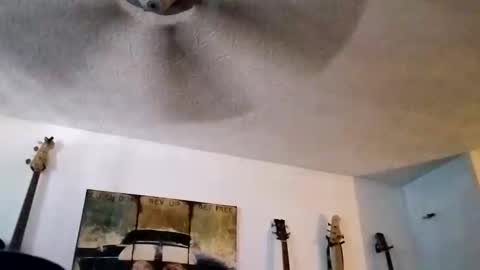 Snapshot of mitchnails69 chatting on 14, 9, 2025 BobbyMitchGa online show from 14, 9, 2025