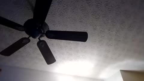 Snapshot of mitchnails69 chatting on 18, 9, 2025 BobbyMitchGa online show from 18, 9, 2025