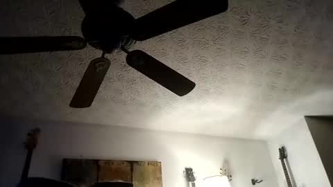 Snapshot of mitchnails69 chatting on 20, 9, 2025 BobbyMitchGa online show from 20, 9, 2025