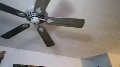 Snapshot of mitchnails69 chatting on 27, 9, 2025 BobbyMitchGa online show from 27, 9, 2025