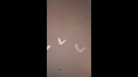 Mike4using online show from 10, 3, 2026