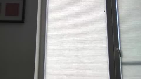 Snapshot of mko88951 chatting on 22, 4, 2026 mko88951 online show from 22, 4, 2026