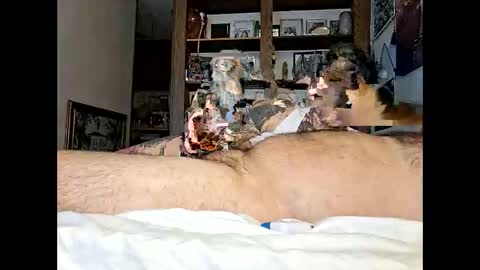 Kittykittybangbang online show from 15, 2, 2026