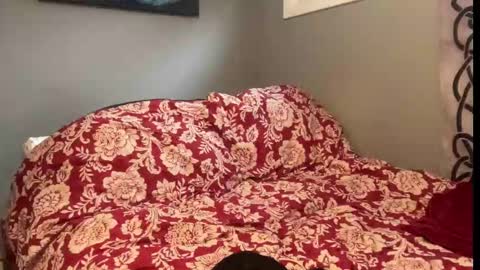 MNTuiLa online show from 9, 9, 2025