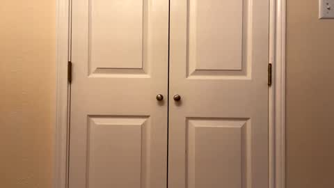 modest6969 online show from 8, 9, 2025