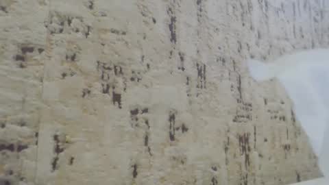 Mohito200711 online show from 21, 1, 2025