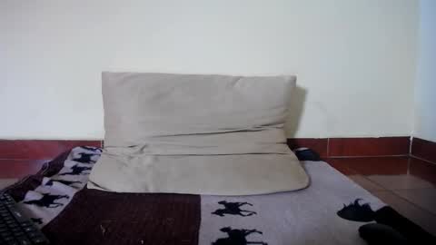 Molly online show from 15, 12, 2025