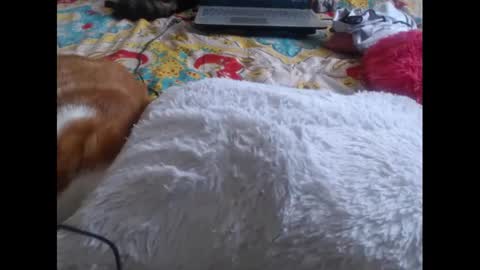 Snapshot of mollyandbra chatting on 5, 2, 2025 Molly And Brad online show from 5, 2, 2025