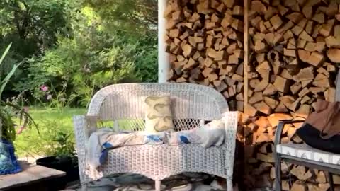 Snapshot of mommamia12 chatting on 31, 7, 2026 Mia online show from 31, 7, 2026