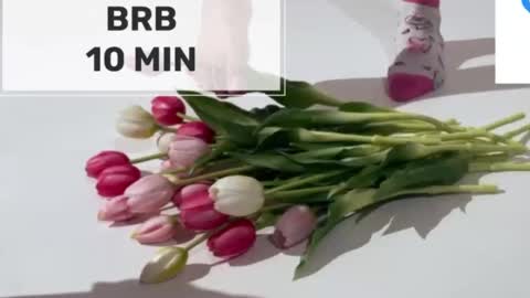 Mommy online show from 2, 3, 2026