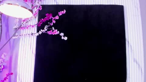 Snapshot of monik_fox_cr chatting on 17, 11, 2025 MONIK FOX online show from 17, 11, 2025