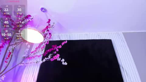 Snapshot of monik_fox_cr chatting on 2, 12, 2025 MONIK FOX online show from 2, 12, 2025