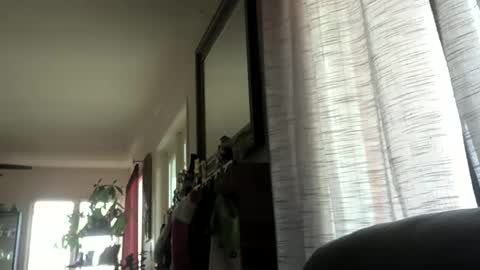 Monkee Dance online show from 23, 12, 2024