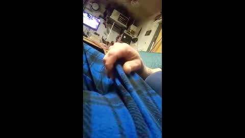 Snapshot of monsterjosh84 chatting on 11, 2, 2026 monsterjosh84 online show from 11, 2, 2026