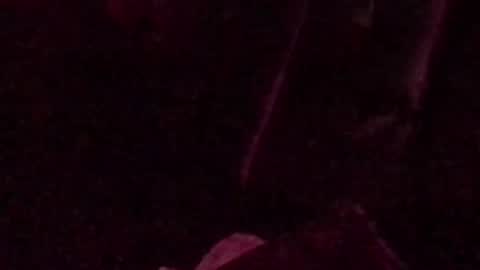 montydxxx2 online show from 14, 9, 2025